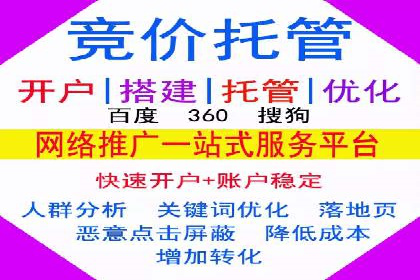百度SEM广告投放效果评估的案例分析